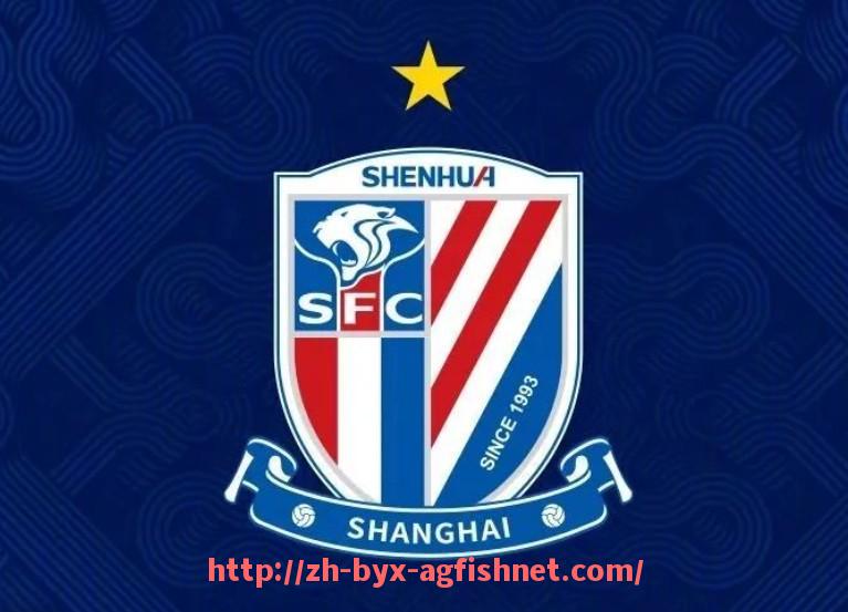 AG捕鱼王官网-德甲历史上有哪些球队曾在升级后夺冠？