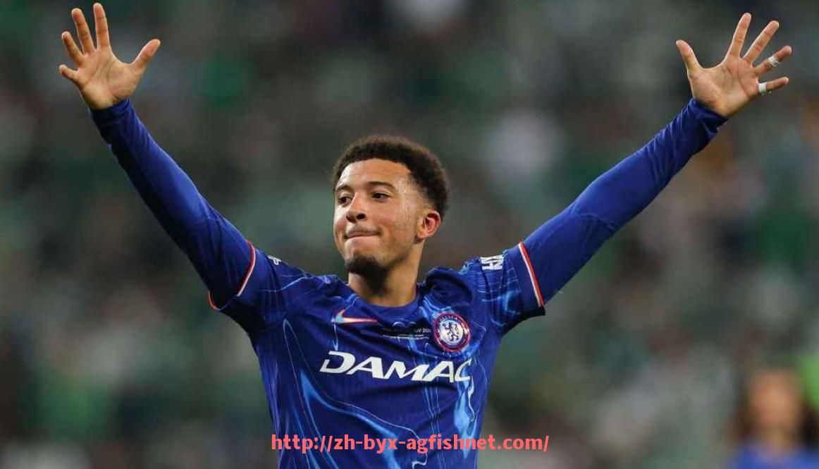 AG捕鱼王官网-法甲全球转播策略变动与海外市场布局趋势