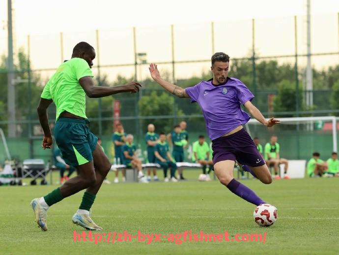 AG捕鱼王官网-法甲全球转播策略变动与海外市场布局趋势