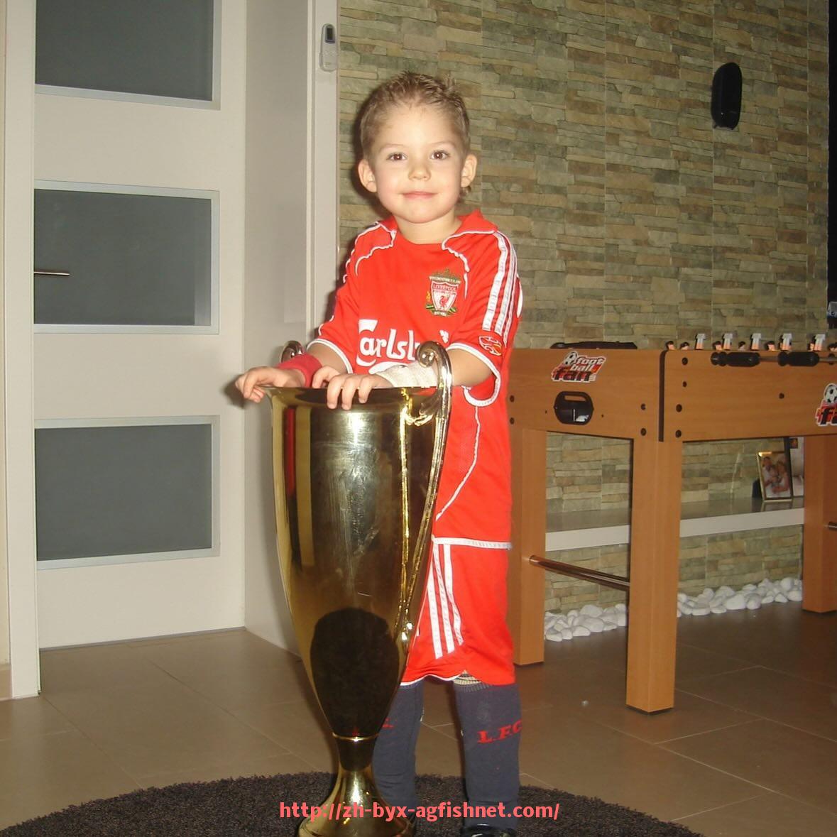 AG捕鱼王官网-世俱杯主办城市景观工程美学与功能结合实践探析