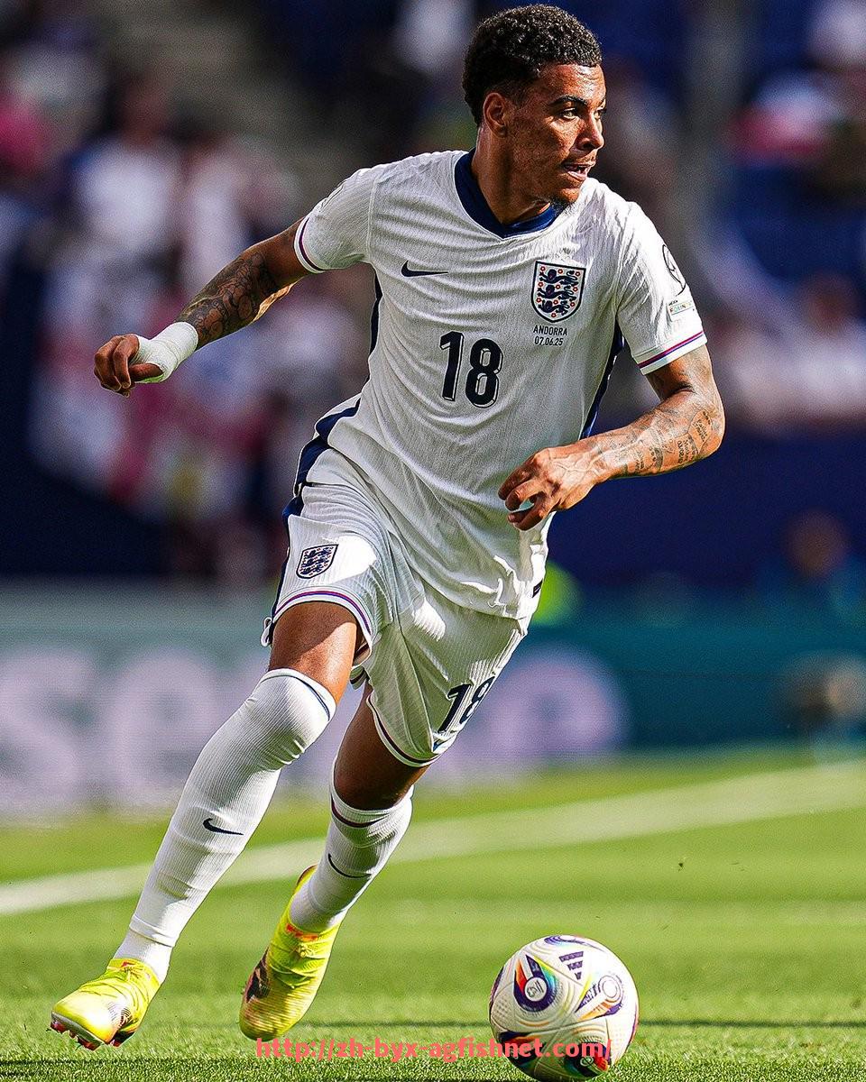 AG捕鱼王官网-世俱杯主办城市景观工程美学与功能结合实践探析