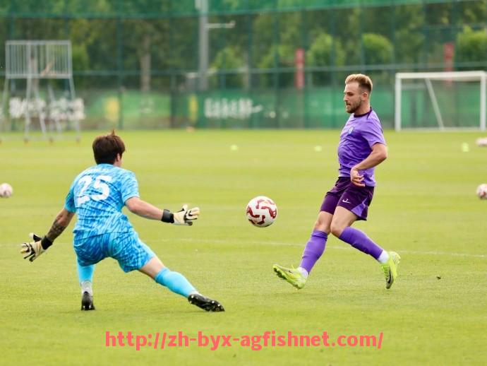 AG捕鱼王官网-世俱杯场地安保与封锁措施细则及实施经验分享