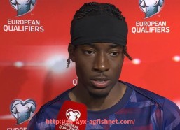 AG捕鱼王官网-英超顶级球员的收入、荣誉与个人成就